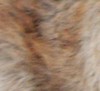 rat mock canelle rat mock canelle