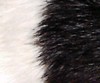 rat black hooded rat black hooded